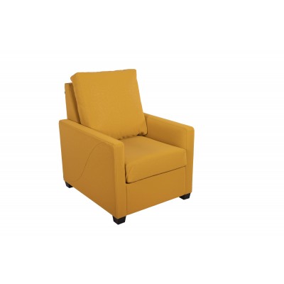 Fauteuil F-300